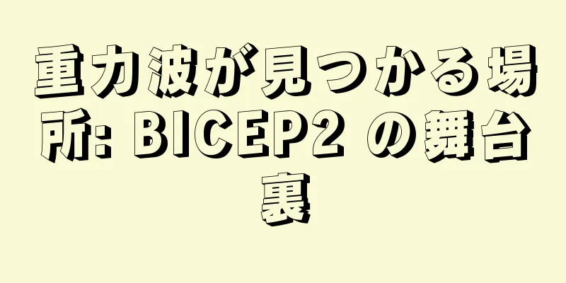 重力波が見つかる場所: BICEP2 の舞台裏