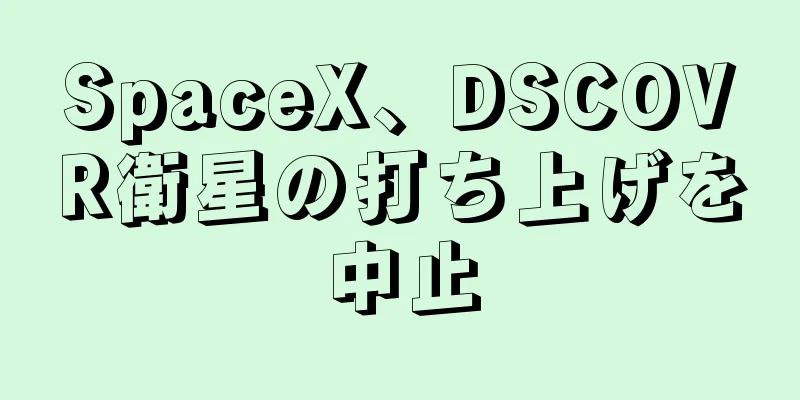 SpaceX、DSCOVR衛星の打ち上げを中止