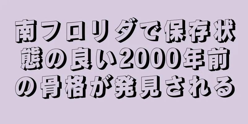 南フロリダで保存状態の良い2000年前の骨格が発見される
