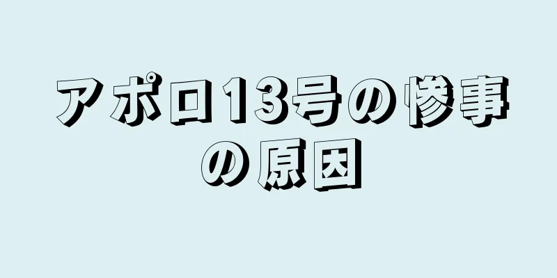 アポロ13号の惨事の原因