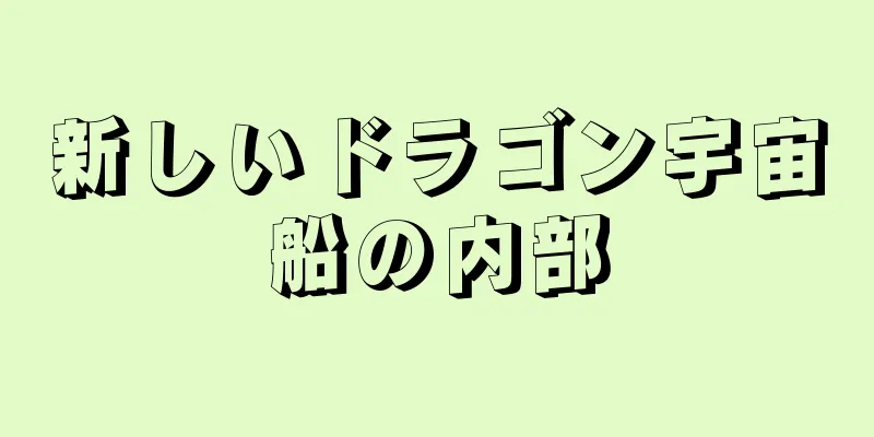 新しいドラゴン宇宙船の内部