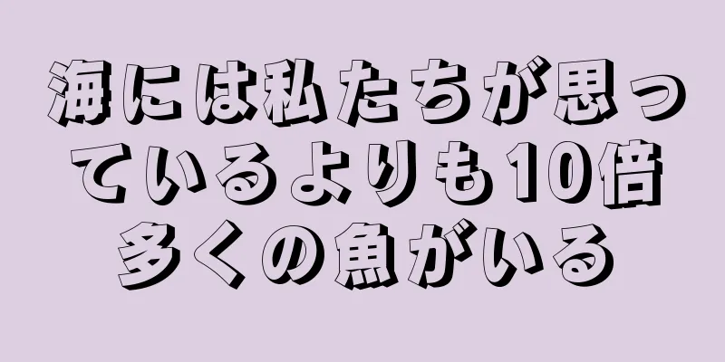 海には私たちが思っているよりも10倍多くの魚がいる