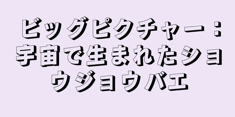 ビッグピクチャー：宇宙で生まれたショウジョウバエ
