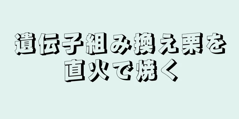 遺伝子組み換え栗を直火で焼く