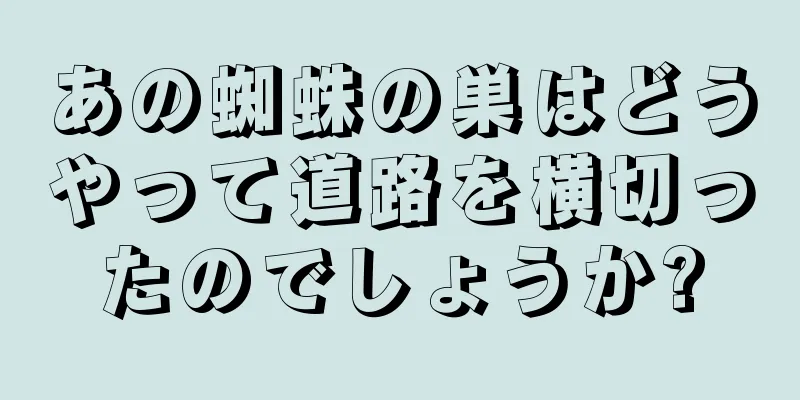 あの蜘蛛の巣はどうやって道路を横切ったのでしょうか?