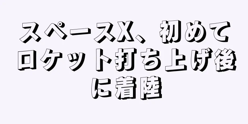 スペースX、初めてロケット打ち上げ後に着陸