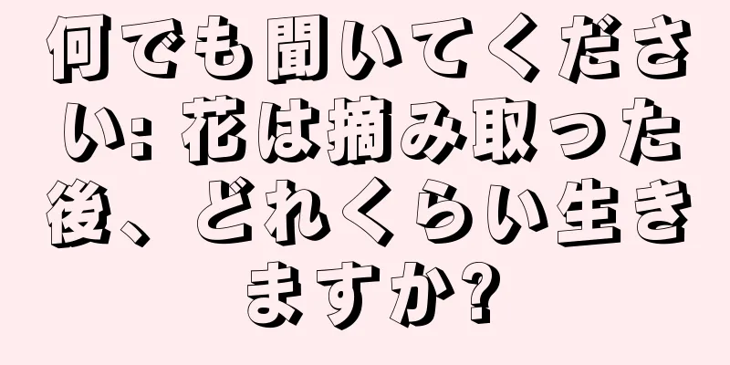 何でも聞いてください: 花は摘み取った後、どれくらい生きますか?