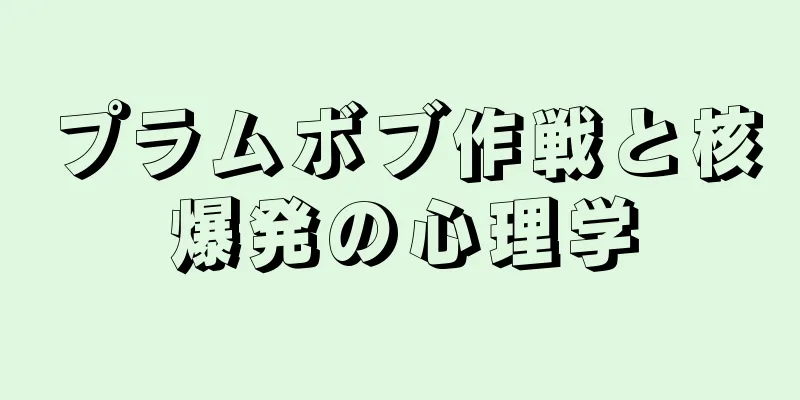 プラムボブ作戦と核爆発の心理学