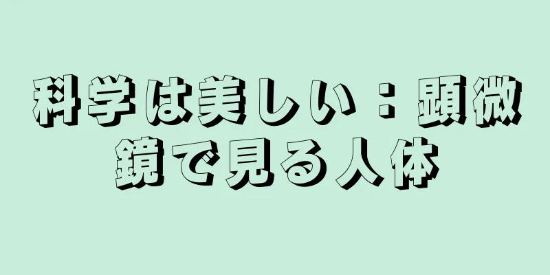 科学は美しい：顕微鏡で見る人体