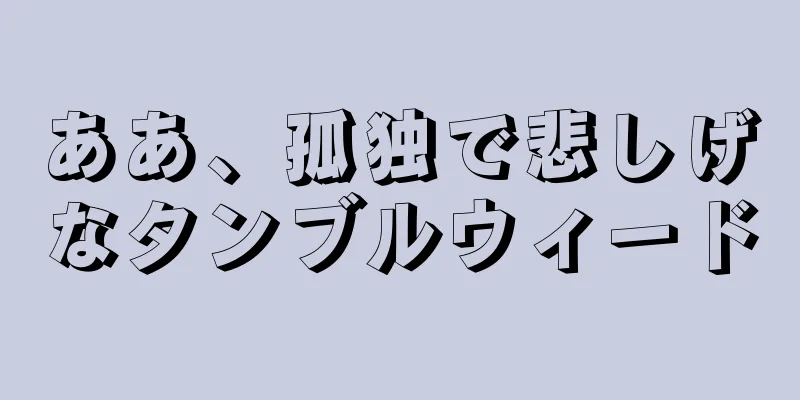 ああ、孤独で悲しげなタンブルウィード