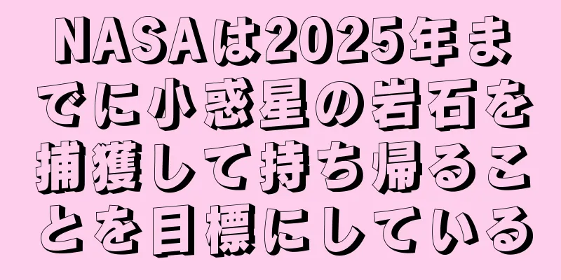 NASAは2025年までに小惑星の岩石を捕獲して持ち帰ることを目標にしている