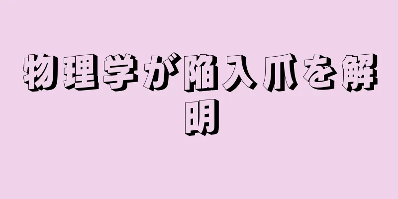 物理学が陥入爪を解明
