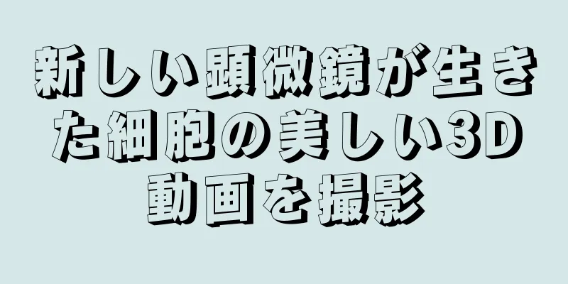 新しい顕微鏡が生きた細胞の美しい3D動画を撮影