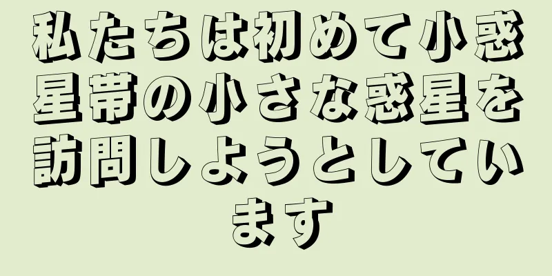 私たちは初めて小惑星帯の小さな惑星を訪問しようとしています