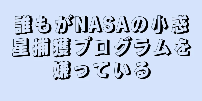 誰もがNASAの小惑星捕獲プログラムを嫌っている