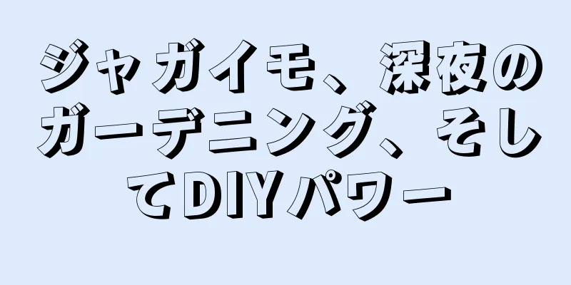 ジャガイモ、深夜のガーデニング、そしてDIYパワー