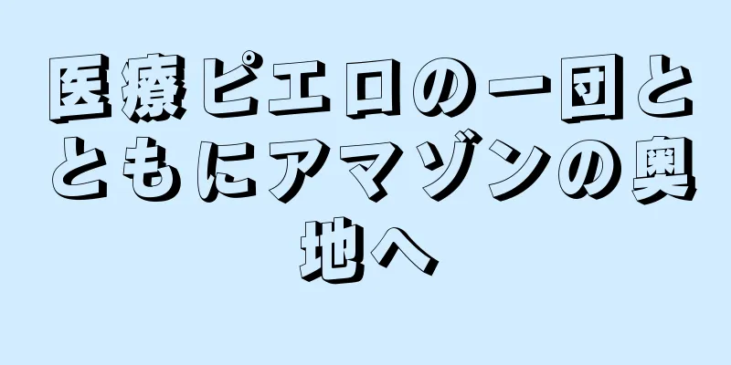 医療ピエロの一団とともにアマゾンの奥地へ