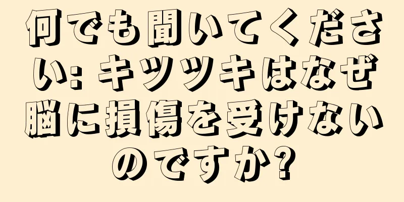 何でも聞いてください: キツツキはなぜ脳に損傷を受けないのですか?