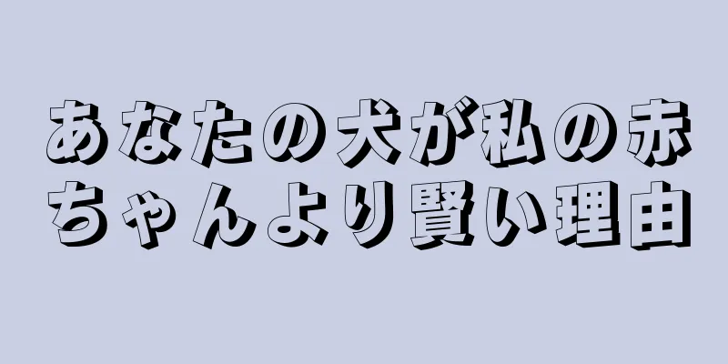 あなたの犬が私の赤ちゃんより賢い理由
