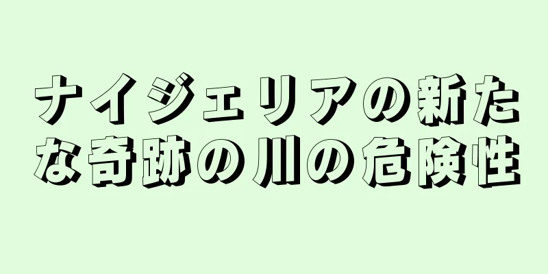 ナイジェリアの新たな奇跡の川の危険性
