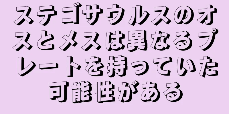 ステゴサウルスのオスとメスは異なるプレートを持っていた可能性がある