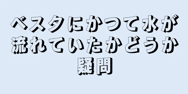 ベスタにかつて水が流れていたかどうか疑問