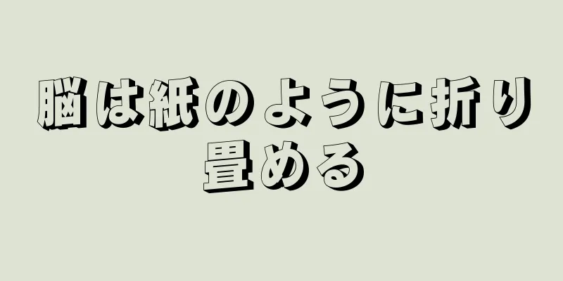 脳は紙のように折り畳める