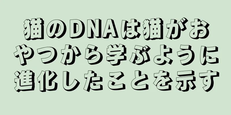 猫のDNAは猫がおやつから学ぶように進化したことを示す