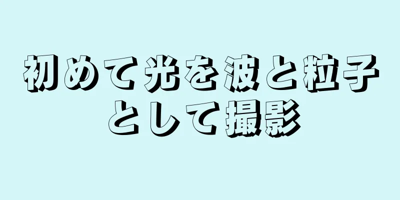 初めて光を波と粒子として撮影