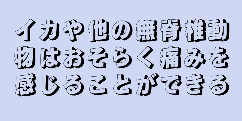 イカや他の無脊椎動物はおそらく痛みを感じることができる
