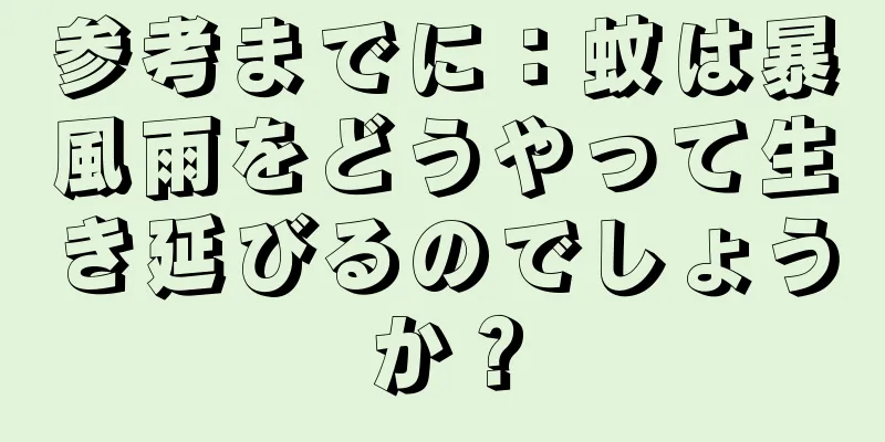 参考までに：蚊は暴風雨をどうやって生き延びるのでしょうか？