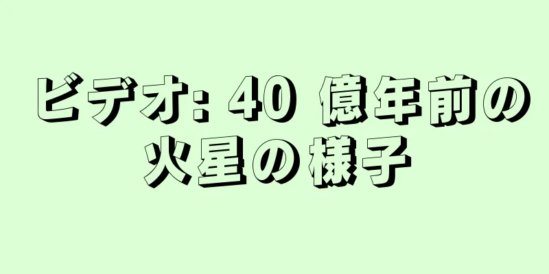 ビデオ: 40 億年前の火星の様子
