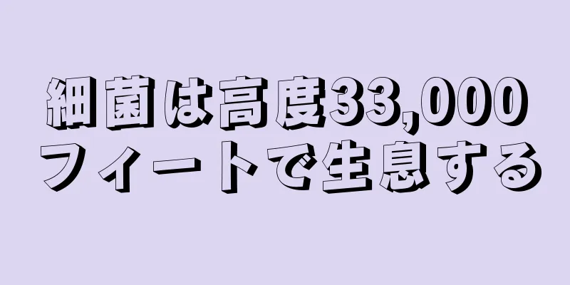 細菌は高度33,000フィートで生息する