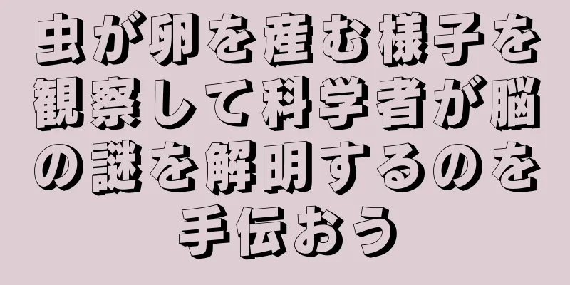 虫が卵を産む様子を観察して科学者が脳の謎を解明するのを手伝おう