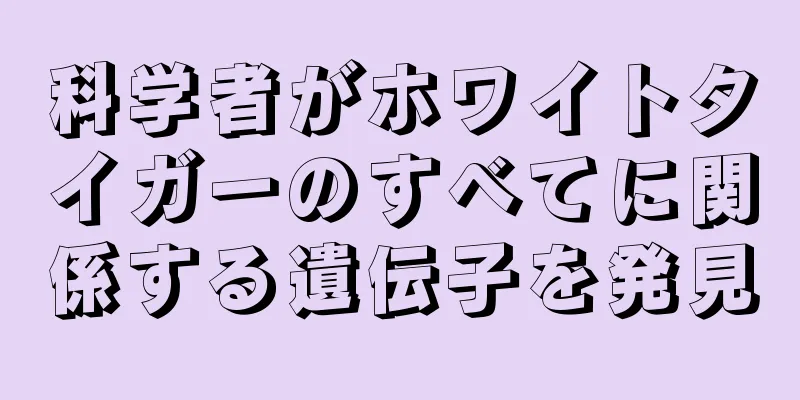 科学者がホワイトタイガーのすべてに関係する遺伝子を発見