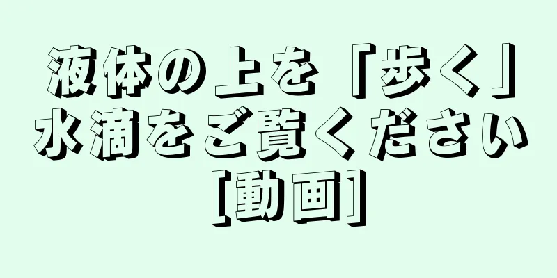 液体の上を「歩く」水滴をご覧ください [動画]