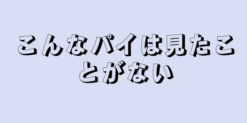 こんなパイは見たことがない