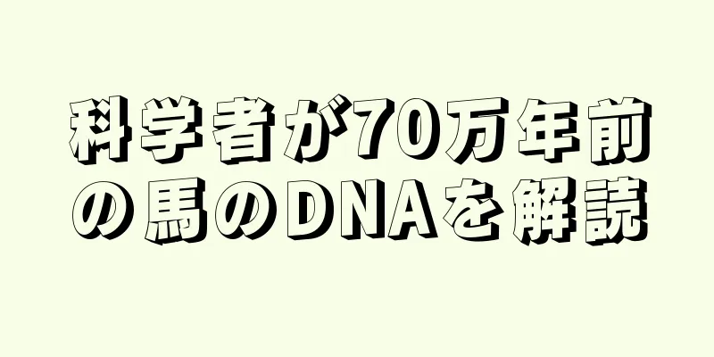 科学者が70万年前の馬のDNAを解読