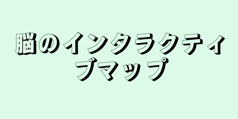 脳のインタラクティブマップ
