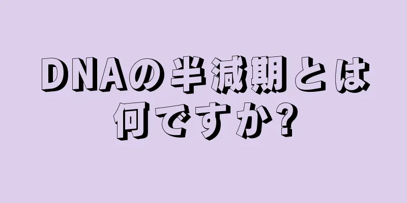 DNAの半減期とは何ですか?