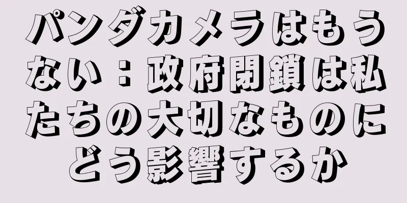 パンダカメラはもうない：政府閉鎖は私たちの大切なものにどう影響するか