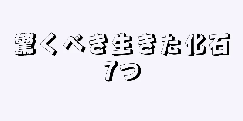 驚くべき生きた化石7つ
