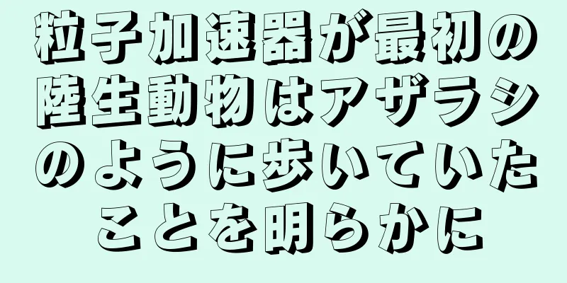 粒子加速器が最初の陸生動物はアザラシのように歩いていたことを明らかに