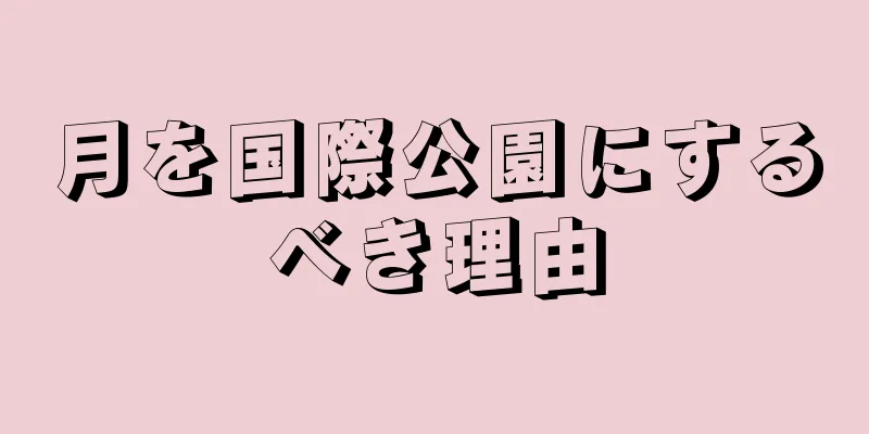 月を国際公園にするべき理由
