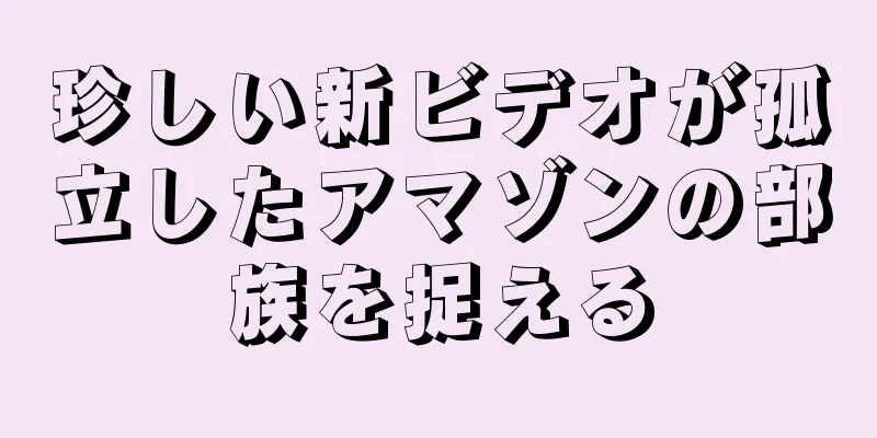 珍しい新ビデオが孤立したアマゾンの部族を捉える