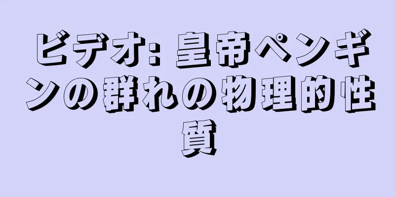 ビデオ: 皇帝ペンギンの群れの物理的性質