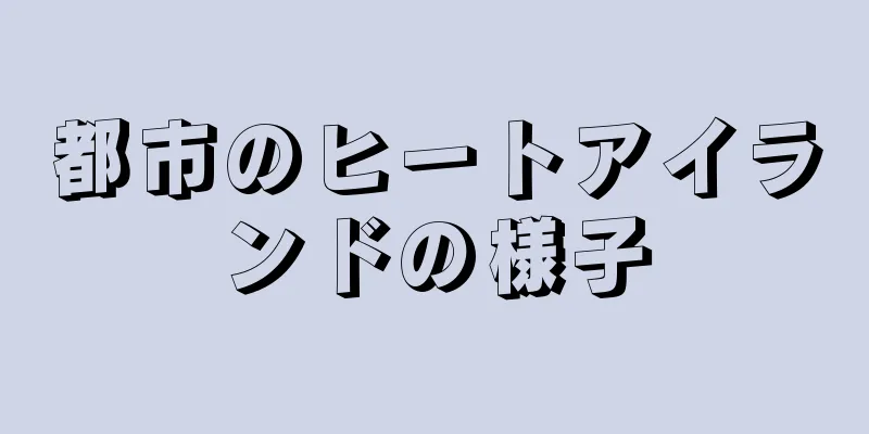 都市のヒートアイランドの様子