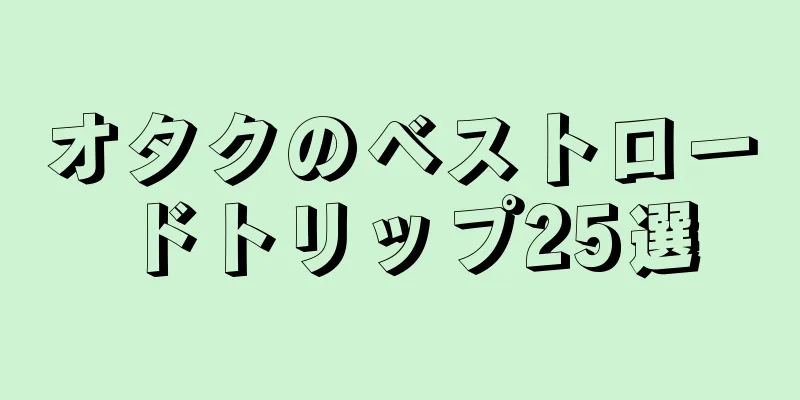 オタクのベストロードトリップ25選