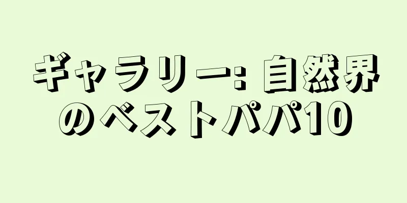 ギャラリー: 自然界のベストパパ10