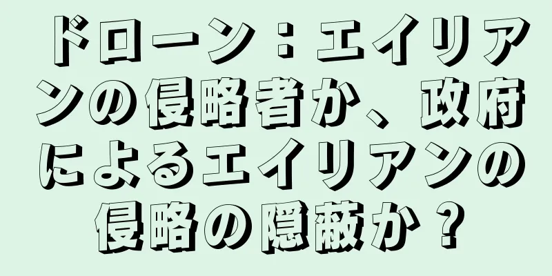 ドローン：エイリアンの侵略者か、政府によるエイリアンの侵略の隠蔽か？